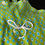 Miniature : Salopette jersey 9 mois