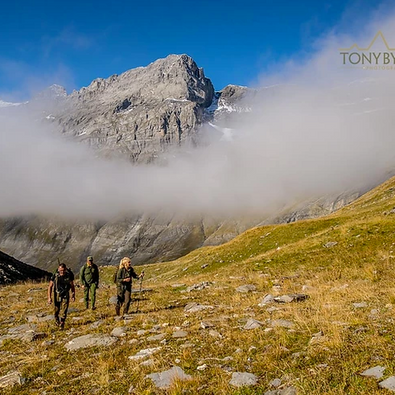 Alpine ibex saved by an Italian king