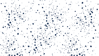 Wix Stripe(1).png