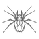 Spider_edited.png