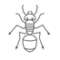 Ant_edited.png