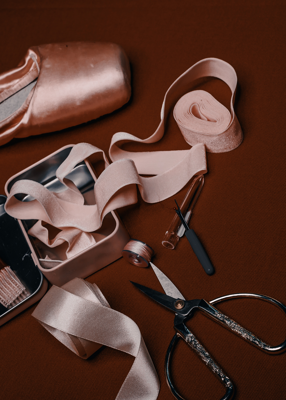 Dance Clothing (3).png