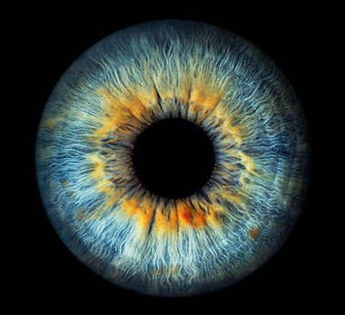 Iris Photography - Simple Singularity#1.jpg