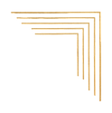 15739EDF-5403-4D61-BB13-4AC483B8FF7C_edited.png