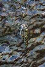 DSC_2293.JPG