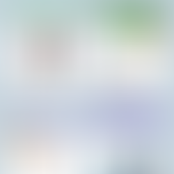 Gendered Racism in the United States