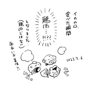 230706.JPG