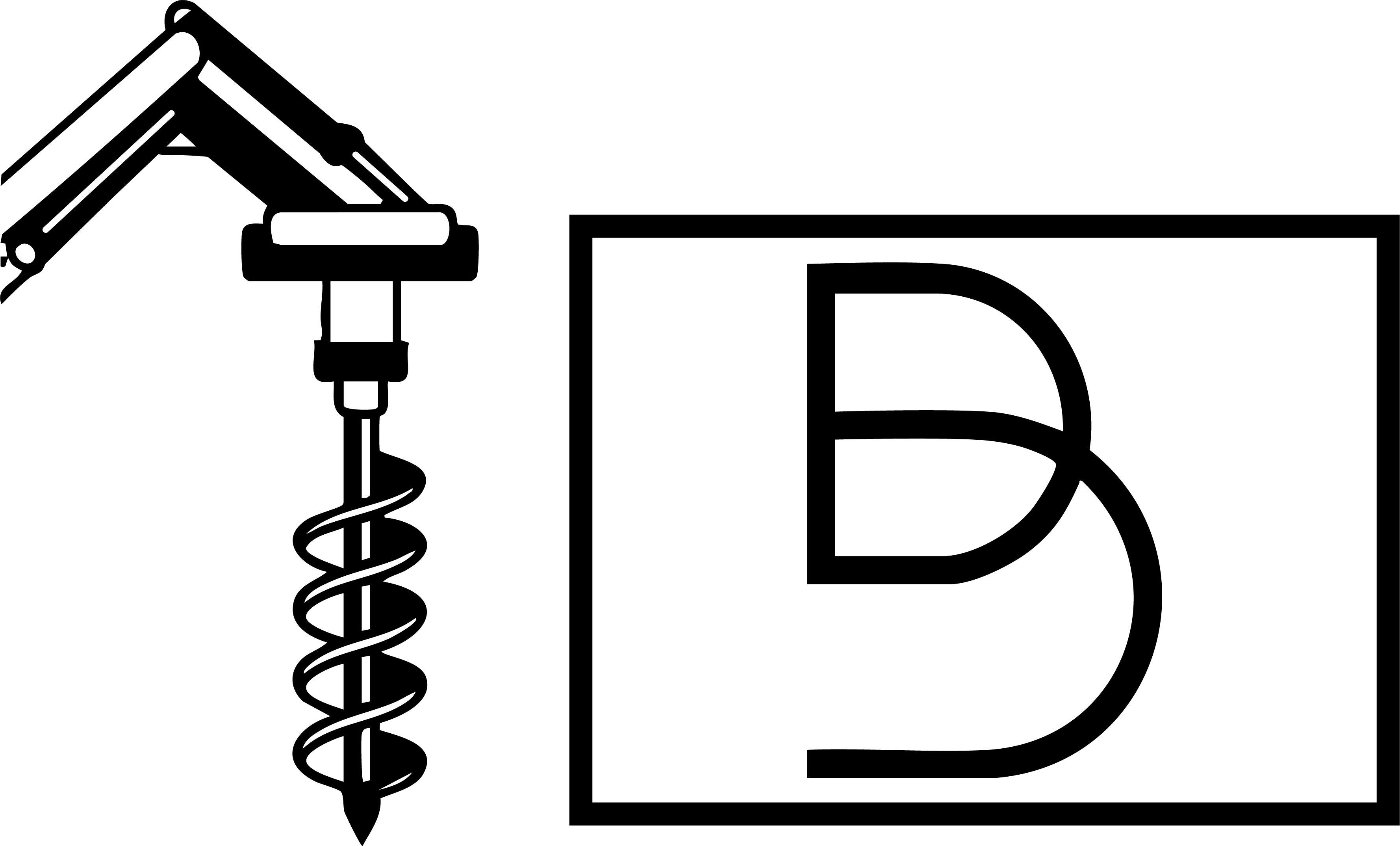Logo PTP Black_300x.png