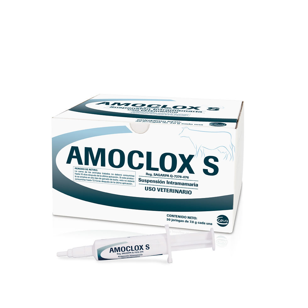 Amoclox S®