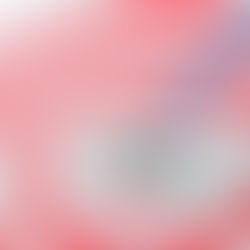 Target Audience Questionnaire 