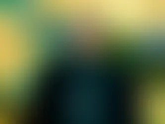 Con Có Một Tổ Quốc