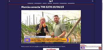Reportaje La 7 Región de Murcia Pitaya