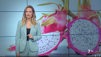 Reportaje La 7 Región de Murcia Pitaya