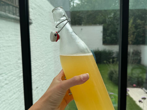 How to Make Sparkling Water Kefir at Home (Gut-Friendly & Delicious)