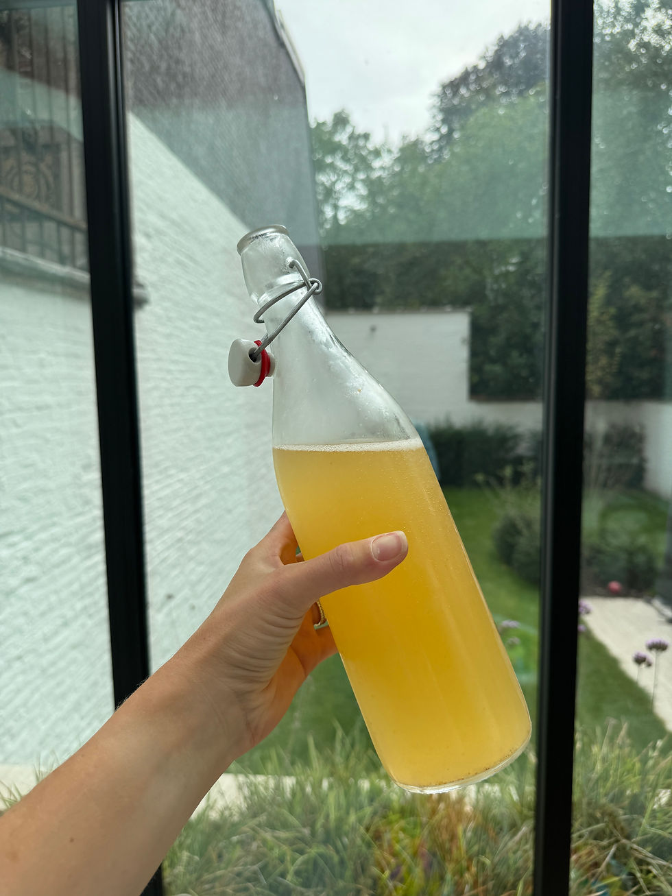 Finished sparkeling Water Kefir