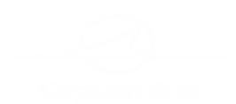 Captain sim Logo.png