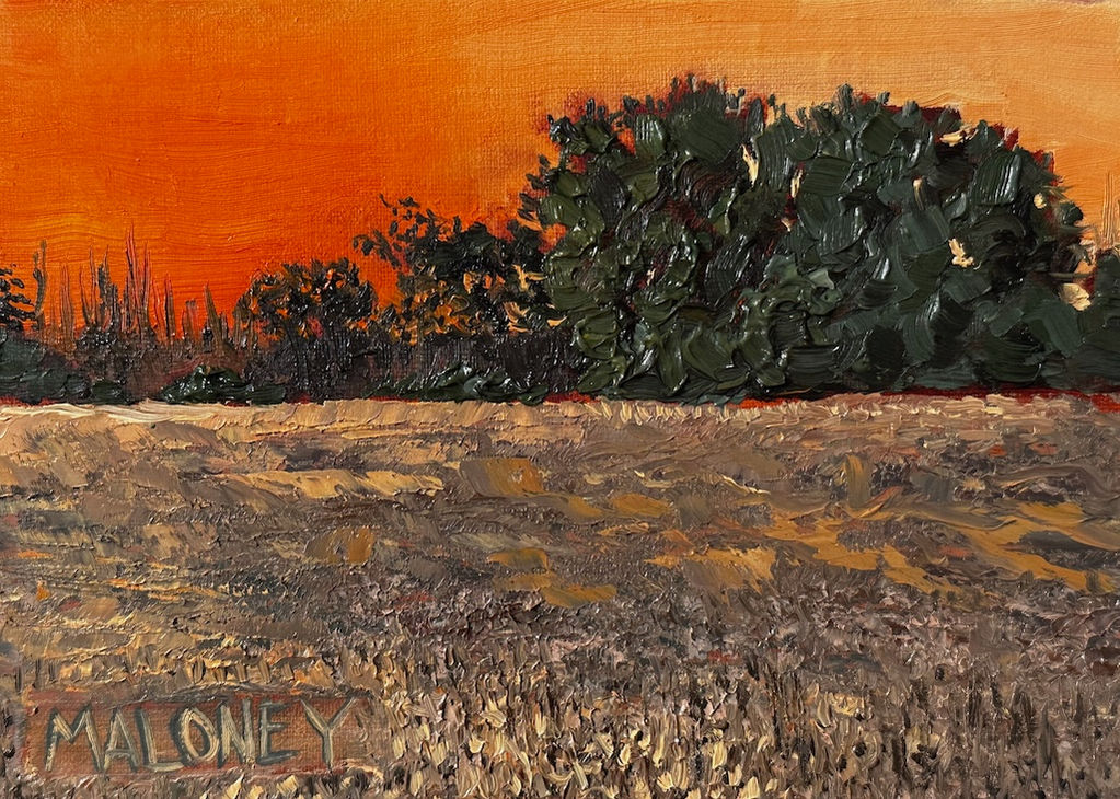 Stillness Before the Harvest