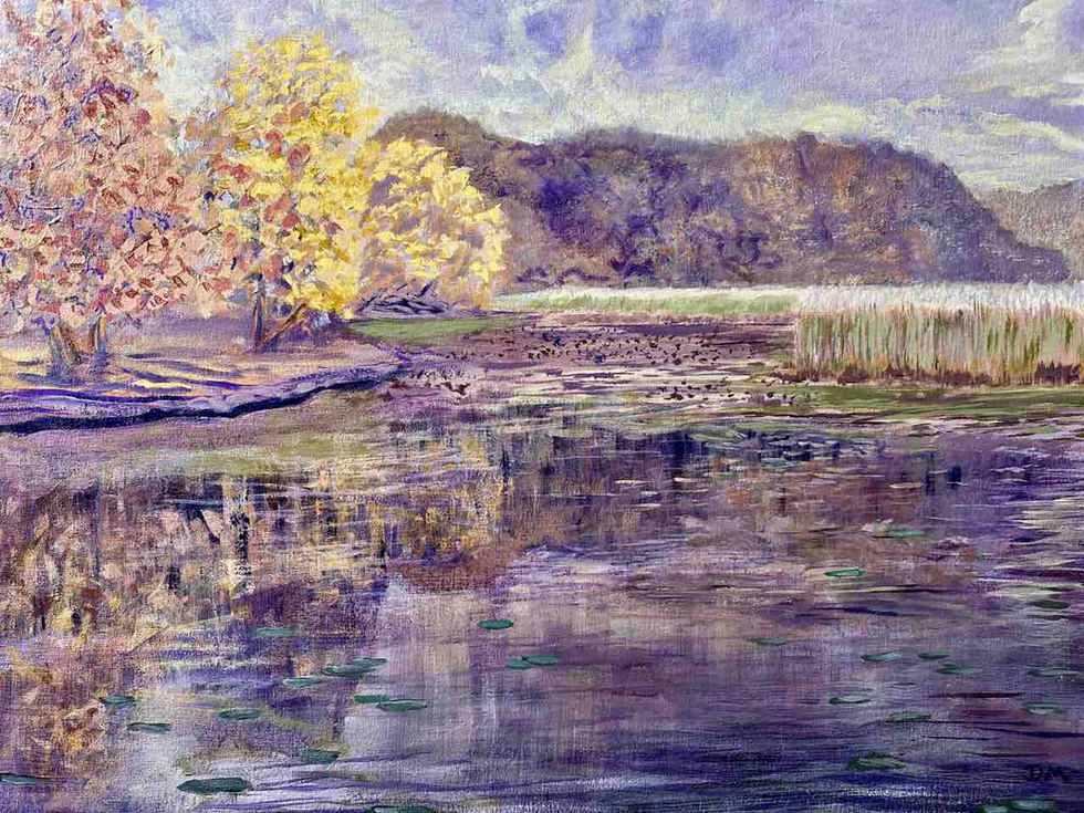 Red Mill Pond in Plum