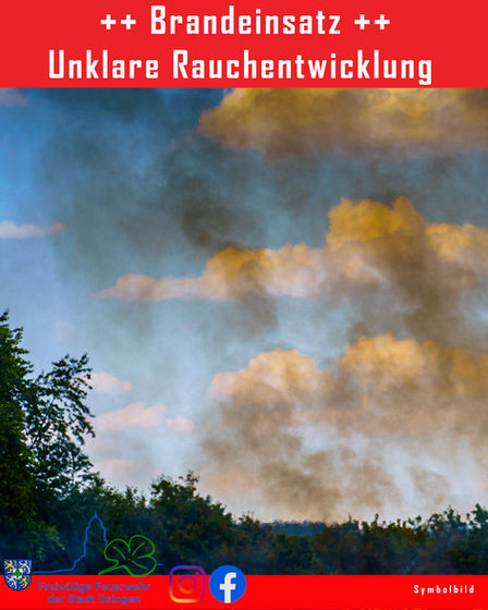 Einsatz-Nr.: 030