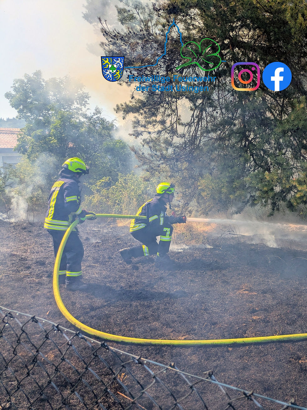Einsatz-Nr.: 061