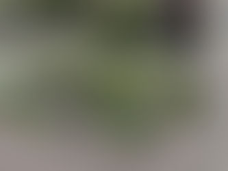 KILKA INFORMACJI OSIEDLOWYCH I OKOŁOOSIEDLOWYCH