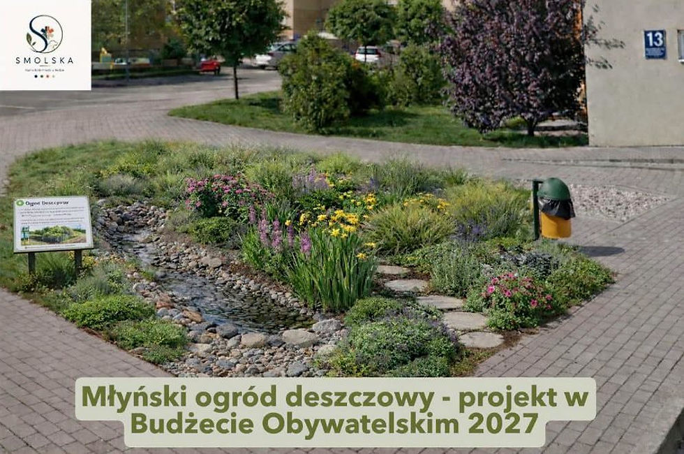 OGRODY DESZCZOWE