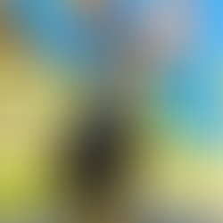 Spotkajmy się nad Redą 2026!