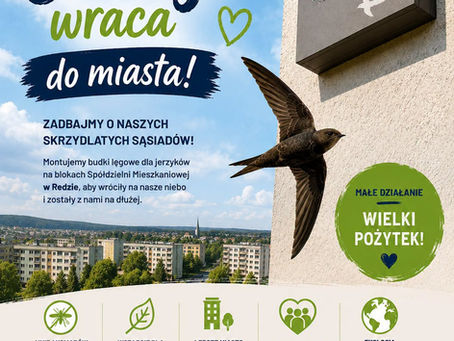 MIĘDZYNARODOWY DZIEŃ JERZYKA