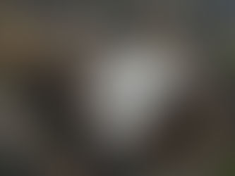 Śmiertelna "tradycja"..