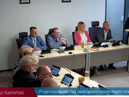 Opieka nad bezdomnymi zwierzętami