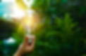 AdobeStock_300324957.jpeg