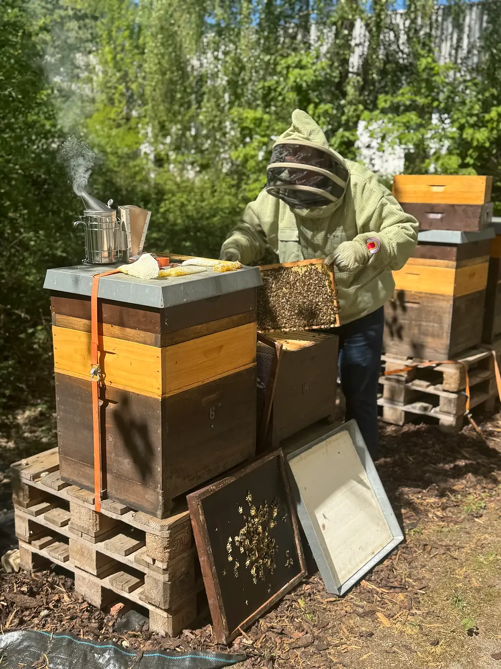 Close-up view of a beehive surrounded by flowers