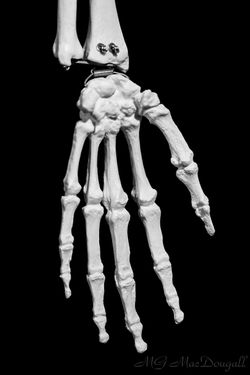 20170201-untitled-07