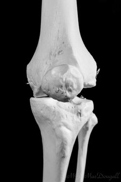 20170201-untitled-20