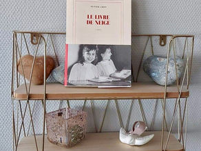 "LE LIVRE DE NEIGE" d'Olivier Liron