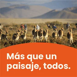 2395.webp