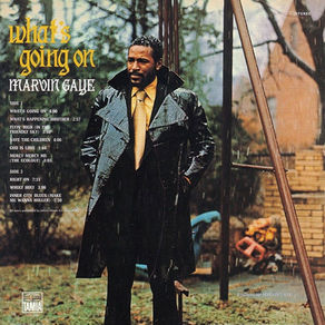 Marvin Gaye: What's Happening Brother