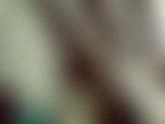 The Cribs @ Rock City