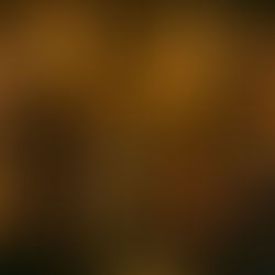 An Exploration Against AI In The Music Scene: Will the sun go down on The Velvet Sundown?