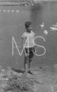 Boy by lake with swans