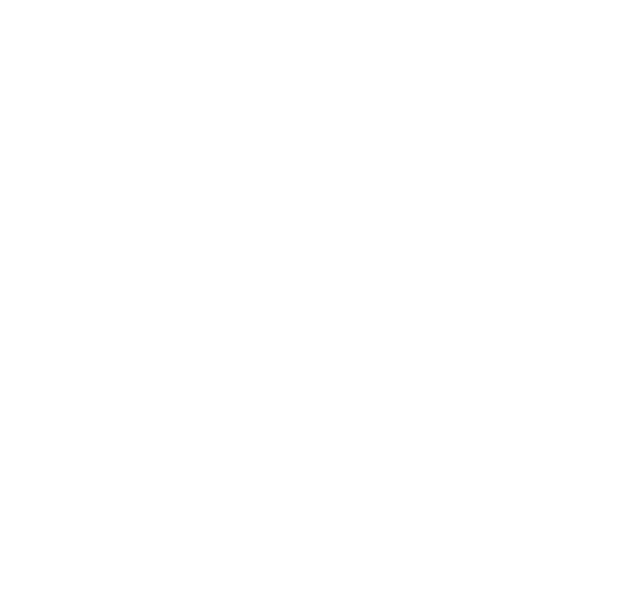 21-plus.png