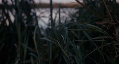 endo_grade_compressed.mov (2160p).00_00_12_07.Still002.jpg