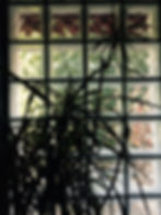 Transparencia social