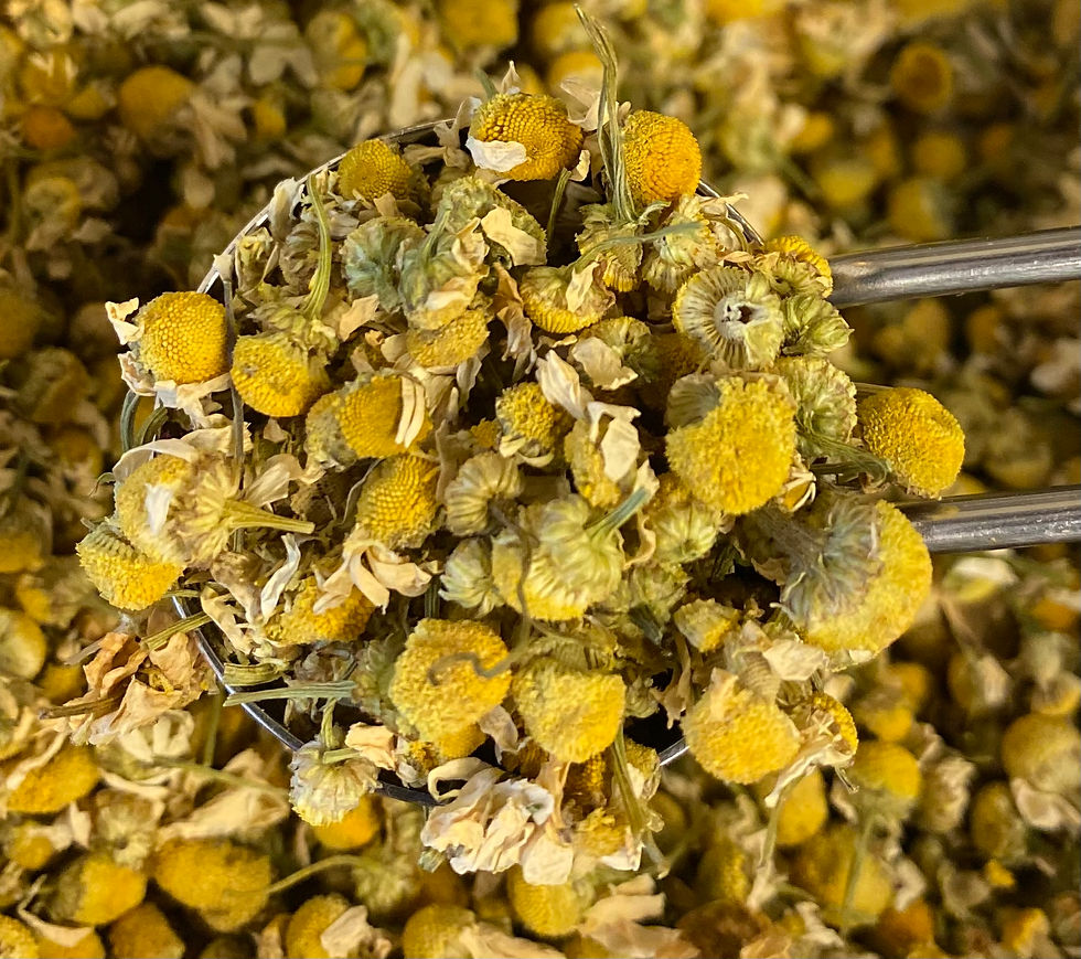 Chamomile Loose