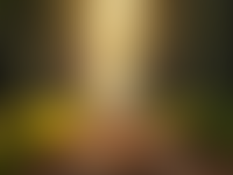 Using Polyvagal Theory Benefits to Manage Anxiety