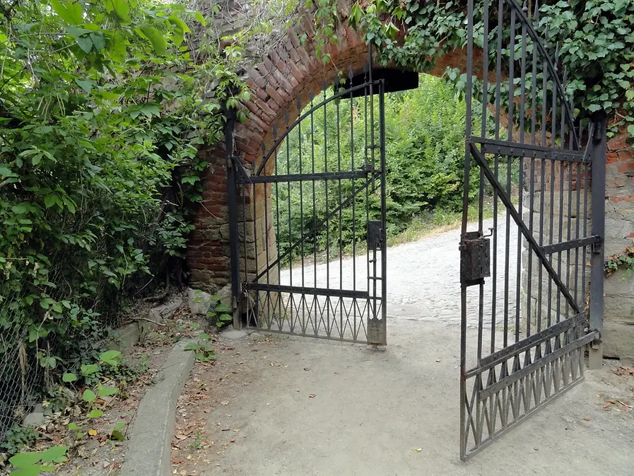 wrought+iron+gate+opening-1920w.webp