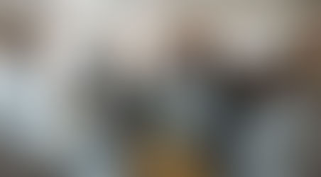 Первые шаги в наставничестве (тьюторстве) совершены.