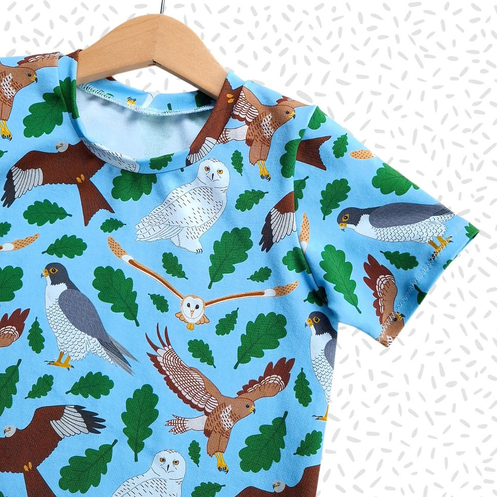 Children's handmade 'Birds of Prey' print crew neck shorts sleeved t-shirt.