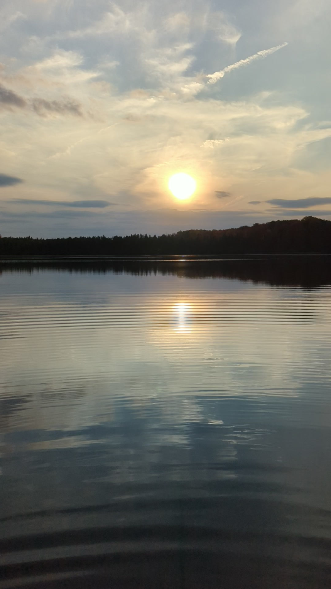 Warblers Cove - Photo 3