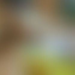 Урок английского языка в 6 классе по теме "Puppet show"